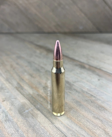 Bullet Paperweight